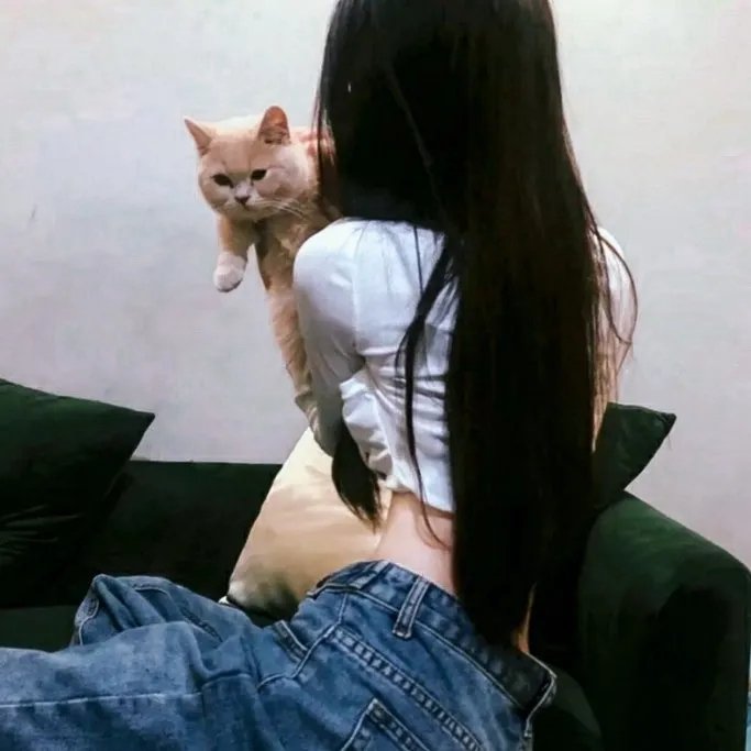 我的同居小仙 封面
