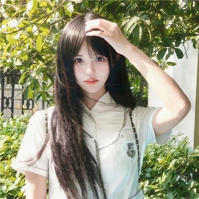 珍珠传奇 封面